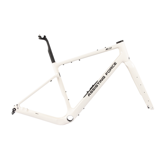 AF01 Standard Carbon Gravel Bike Frame