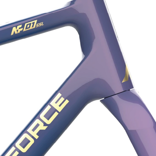 Frame&Fork - Chameleon/Reflective Paint