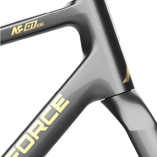 Frame&Fork - Metallic Paint