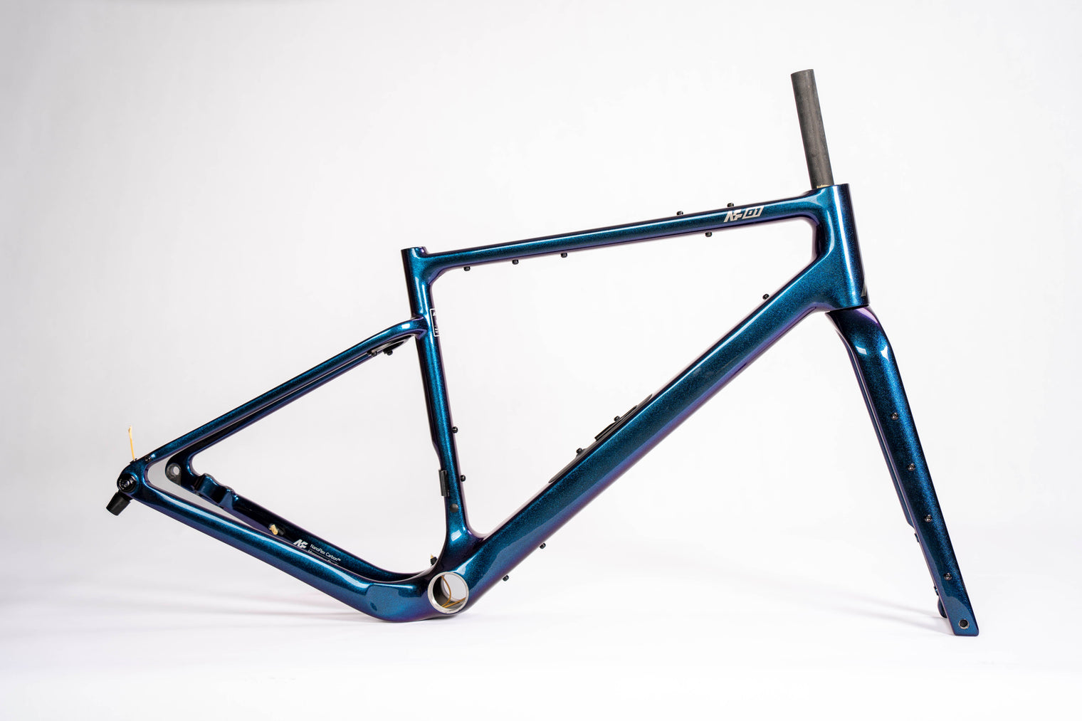 The blue-purple chameleon