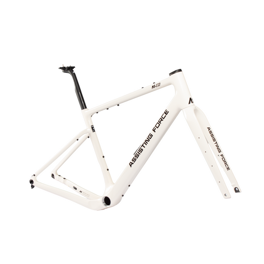 AF01 Standard Carbon Gravel Bike Rahmen