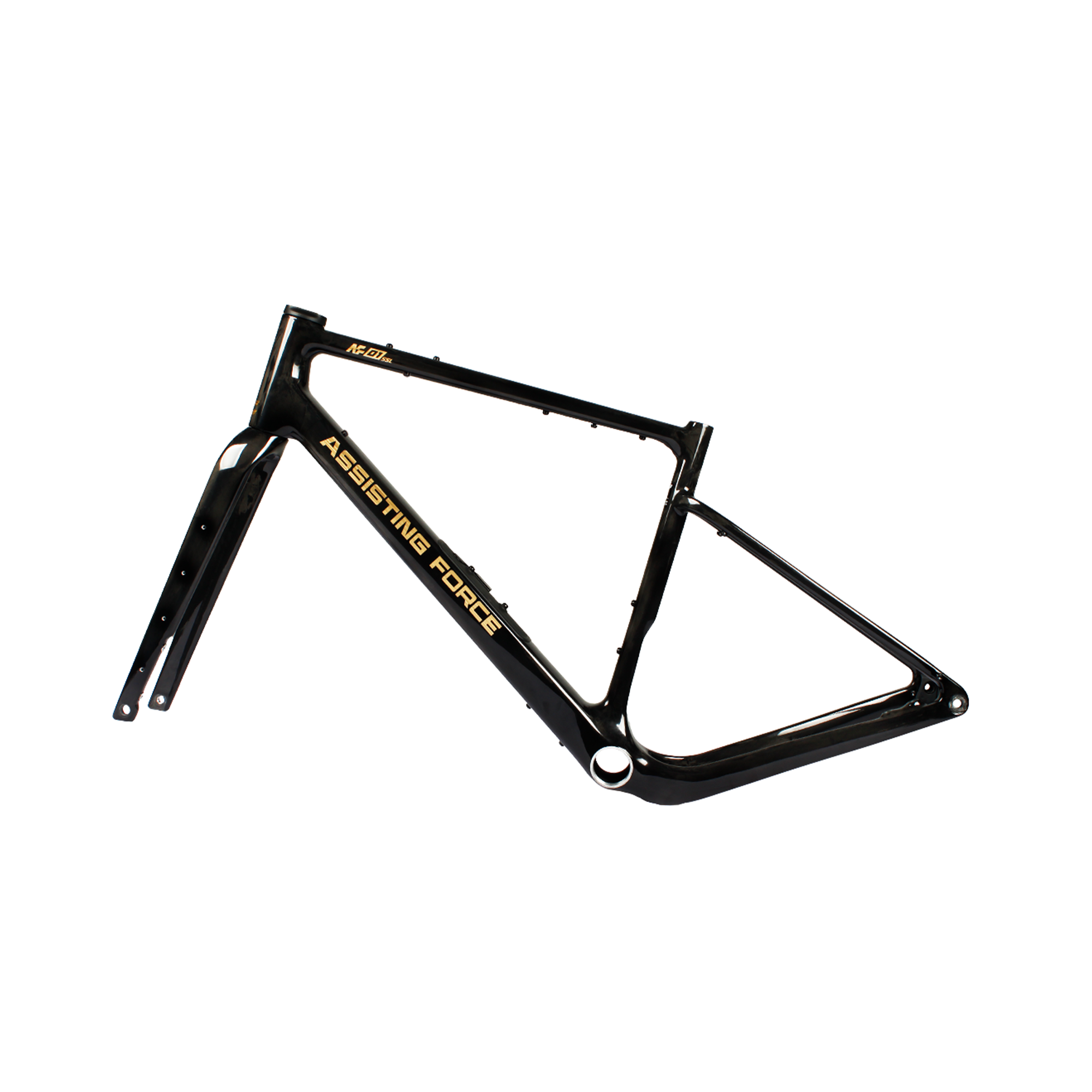 AF01 SSL Premium Carbon Gravel Bike Frame