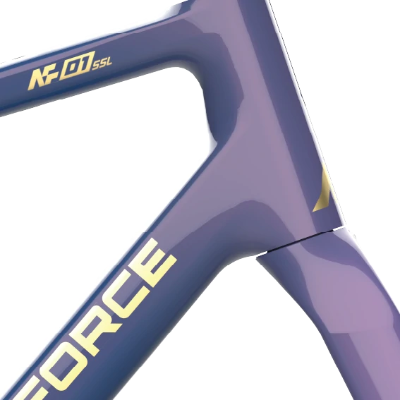 Frame&Fork - Chameleon/Reflective Paint