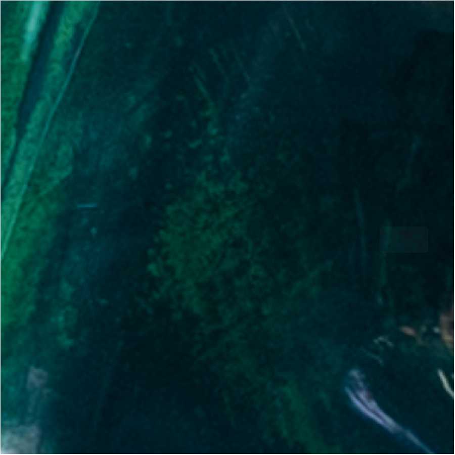 Custom paint service