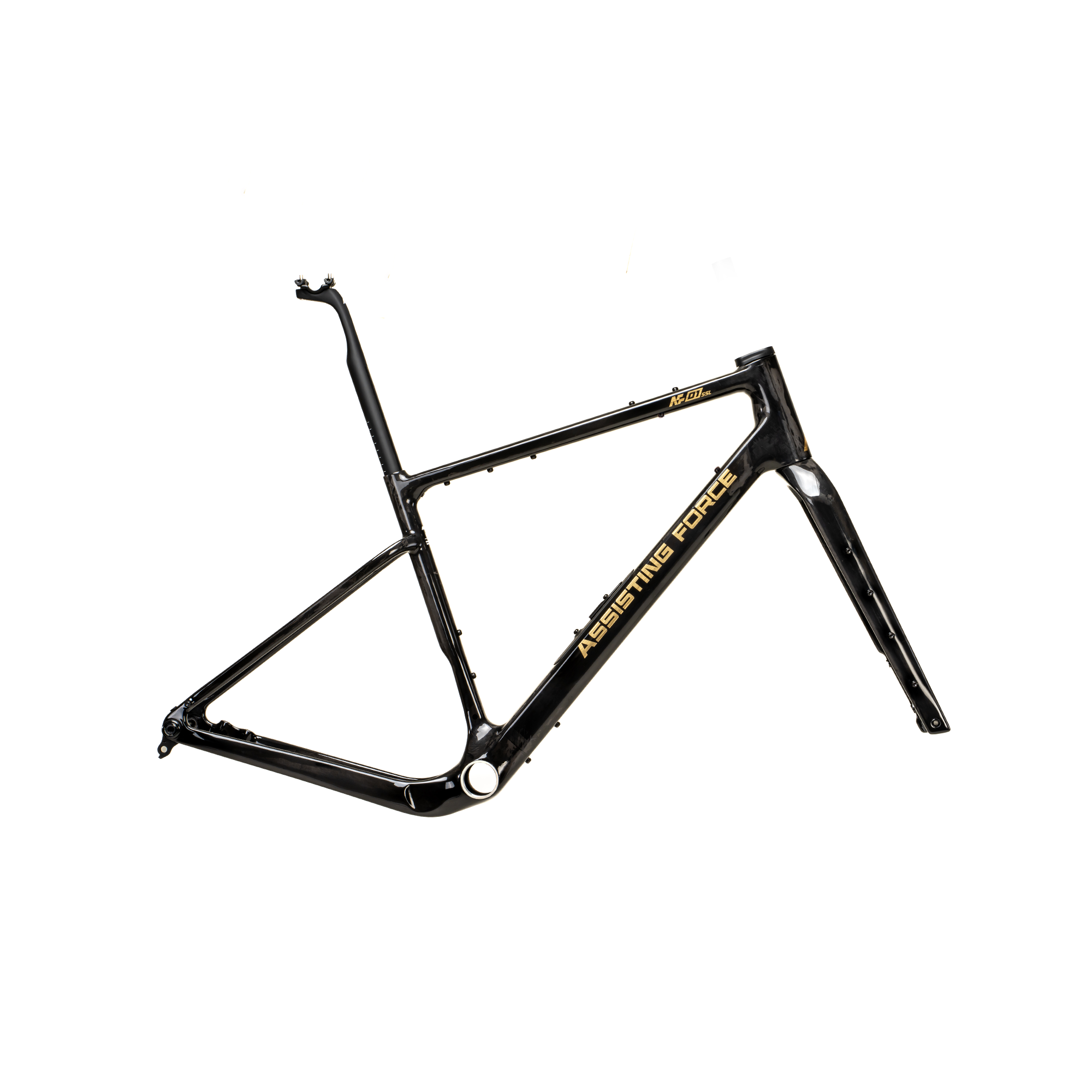 AF01 SSL Premium Carbon Gravel Bike Frame